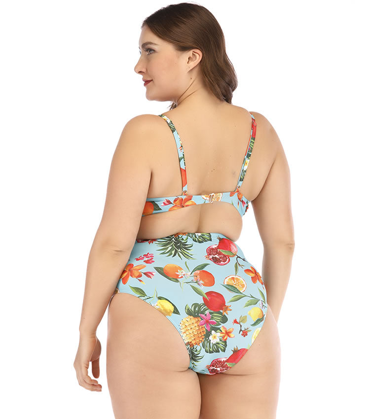 Plus Size Fruit Print Bikini Set