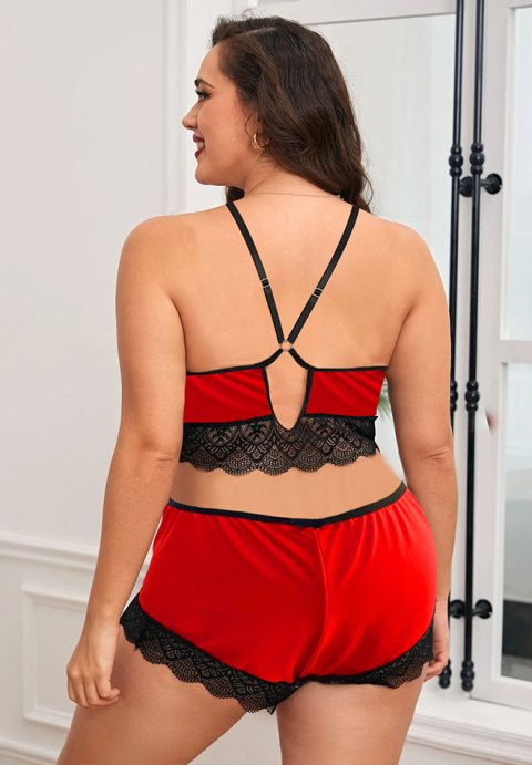 Plus Size a Touch Of New Bra Set
