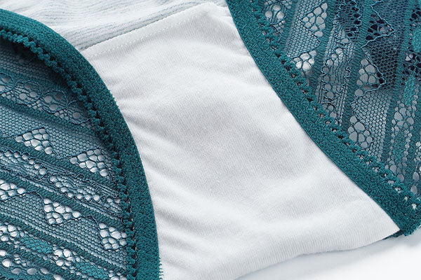 Sheer Lace Panel Panty