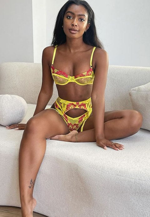 Underwired Lace Mesh Lingerie Set