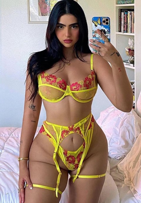 Underwired Lace Mesh Lingerie Set