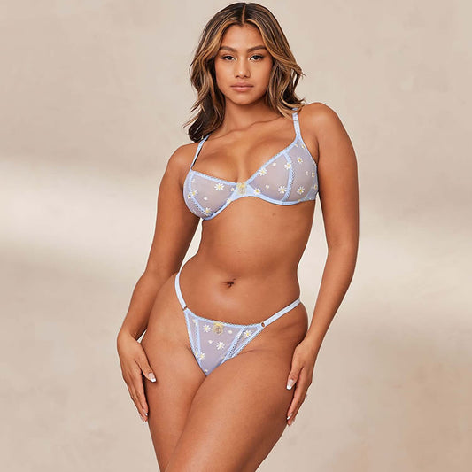 Blue Daisy Embroidered Mesh Lingerie Set
