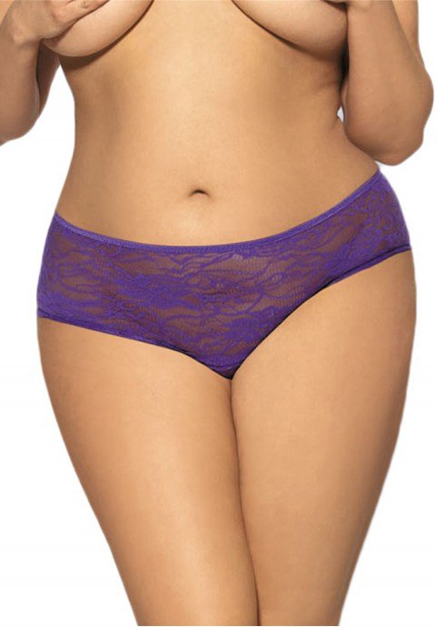 Plus Size Lacy Hipster with Corset Tie Backside - Late Night Lingerie