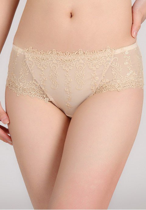 Sheer Mesh Panel Floral Embroidered Panty - Late Night Lingerie